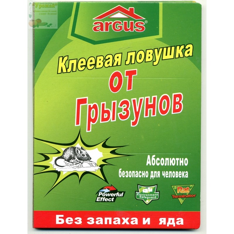 Клеевая ловушка от грызунов  ARGUS
