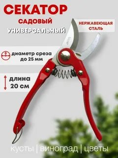 СЕКАТОР SUN GA906